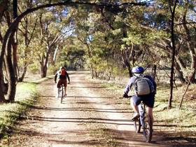Bike About Mountain Bike Tours And Hire - Yarra Valley Accommodation 0