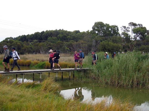 Lavender Federation Trail - Yarra Valley Accommodation 1