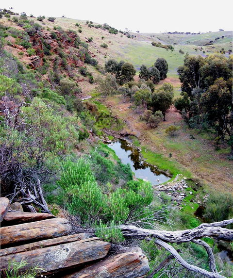 Lavender Federation Trail - Yarra Valley Accommodation 3