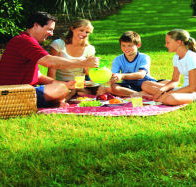 Bruny Island Berry Farm - Yarra Valley Accommodation