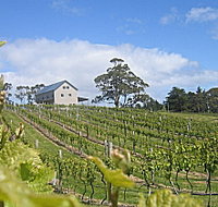 Bruny Island Premium Wines Bar and Grill - Yarra Valley Accommodation