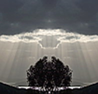 aart. Gallery of Fine Art - Yarra Valley Accommodation