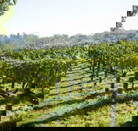 Surveyor's Hill Vineyards - Yarra Valley Accommodation