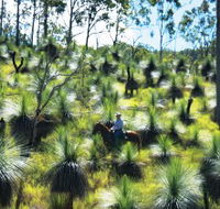 Bicentennial National Trail - Section 5 - Yarra Valley Accommodation