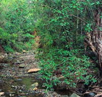 Mudlo National Park - Yarra Valley Accommodation