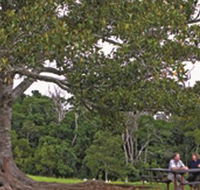 Ravensbourne National Park - Yarra Valley Accommodation