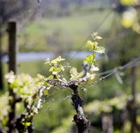 Downing Estate - Yarra Valley Accommodation