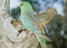  Yarra Valley Accommodation