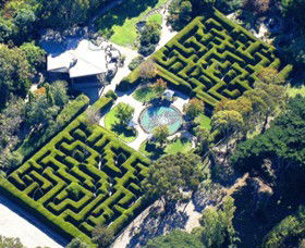 Ashcombe Maze & Lavender Gardens - Yarra Valley Accommodation 0