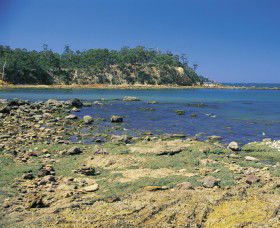 Aslings Beach - Yarra Valley Accommodation 0