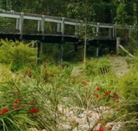 Eurobodalla Botanic Gardens - Yarra Valley Accommodation