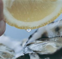 Pearly Oyster Bar and Farm - Yarra Valley Accommodation