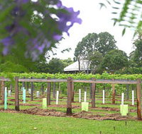 Douglas Vale Historic Homestead  Vineyard - Yarra Valley Accommodation