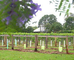 Douglas Vale Historic Homestead & Vineyard - Yarra Valley Accommodation 0