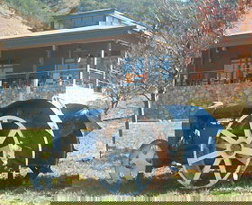 Lake George Winery - Yarra Valley Accommodation 0