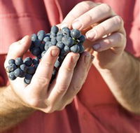 Brown Magpie Wines - Yarra Valley Accommodation
