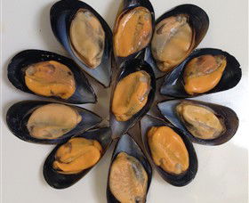 Advance Mussel Supply - Yarra Valley Accommodation 3
