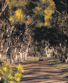 Albert Facey Heritage Trail - Yarra Valley Accommodation 0