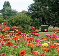 Alma Park - Yarra Valley Accommodation
