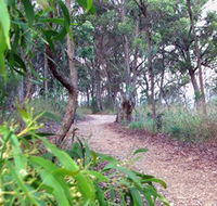 Mount Mutton Walking Trail - Yarra Valley Accommodation