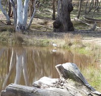 Mulligans Flat - Yarra Valley Accommodation