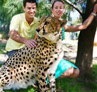 National Zoo  Aquarium - Yarra Valley Accommodation