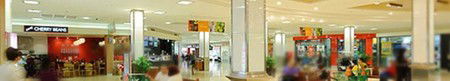 Ashfield Mall Shopping Centre - Yarra Valley Accommodation 1