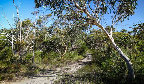 Aboriginal Heritage Walk - Yarra Valley Accommodation 2