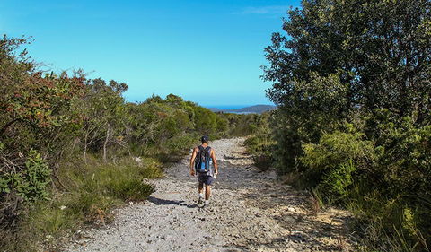 Aboriginal Heritage Walk - Yarra Valley Accommodation 3