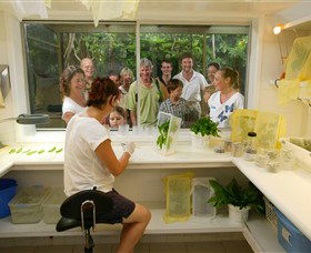 Australian Butterfly Sanctuary - Yarra Valley Accommodation 3