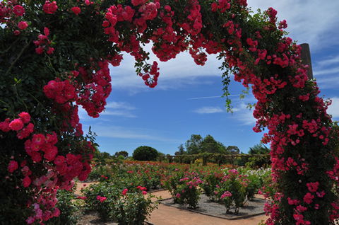 Australian Inland Botanic Gardens - Yarra Valley Accommodation 3