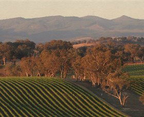 Angullong Wines - Yarra Valley Accommodation 0