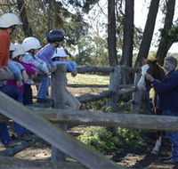 Harlow Park Horse Riding - Yarra Valley Accommodation