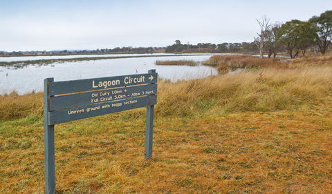 Lagoon Circuit Walking Track - Yarra Valley Accommodation 0