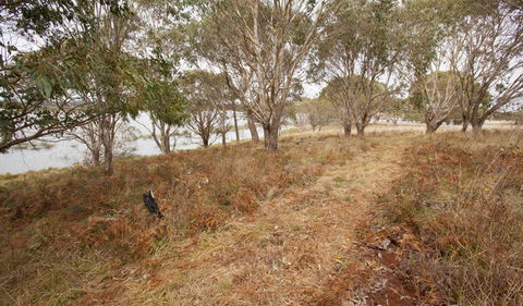 Lagoon Circuit Walking Track - Yarra Valley Accommodation 1