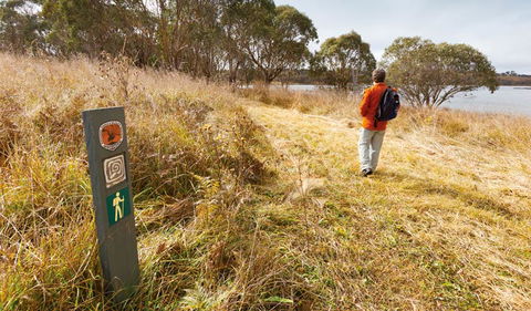 Lagoon Circuit Walking Track - Yarra Valley Accommodation 2