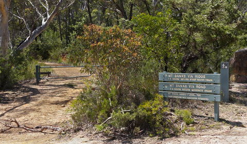 Mount Banks Road Cycle Route - Yarra Valley Accommodation 1