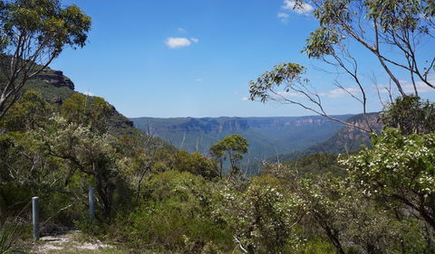 Mount Banks Road Cycle Route - Yarra Valley Accommodation 2
