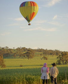 Avon Valley National Park - Yarra Valley Accommodation 1