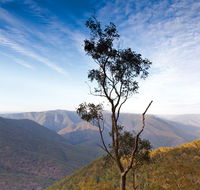 Salisbury Waters walking track - Yarra Valley Accommodation