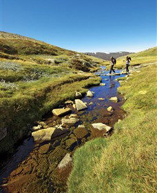 Australian Alps Walking Track - Yarra Valley Accommodation 0