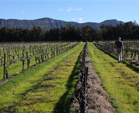 Around Hermitage Wine And Food Trail Hunter Valley - Yarra Valley Accommodation 1