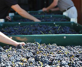 Around Hermitage Wine And Food Trail Hunter Valley - Yarra Valley Accommodation 6