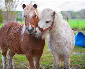 Amazement Farm And Fun Park / Cafe And Farmstay Accommodation - Yarra Valley Accommodation 5