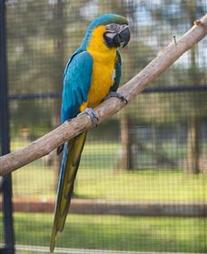 Amazement Farm And Fun Park / Cafe And Farmstay Accommodation - Yarra Valley Accommodation 8