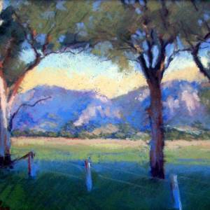 Galleries In The Gardens - Yarra Valley Accommodation 4