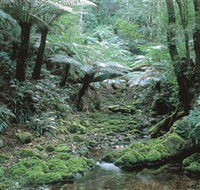 The Corn Trail Walk - Yarra Valley Accommodation