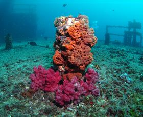 HMAS Brisbane Dive Site - Yarra Valley Accommodation 0