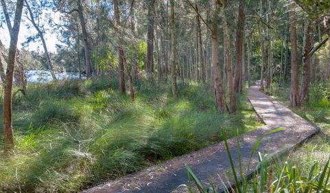 Anabranch Loop Track - Yarra Valley Accommodation 3