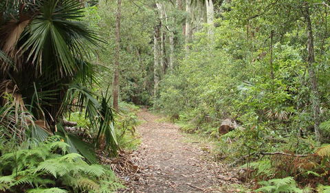 Lake Walking Track - Yarra Valley Accommodation 0